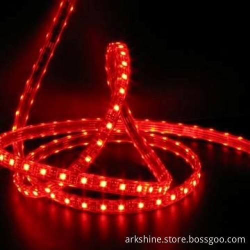 Waterproof IP68 LED Flexible Strip Light SMD5050 Flexible Ribbon Light